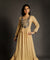 Go Neutral - Beige Long Gown with Intricate Hand Embroidery
